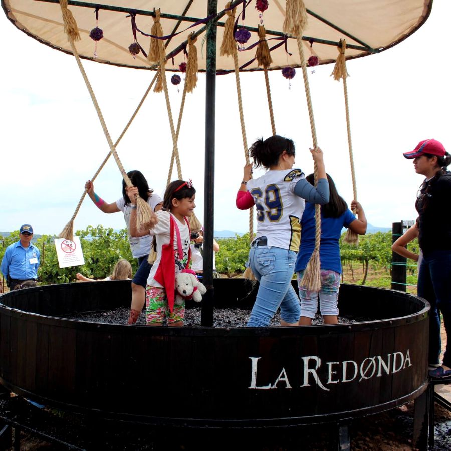 PEÑA DE BERNAL Y FIESTA DE LA VENDIMIA